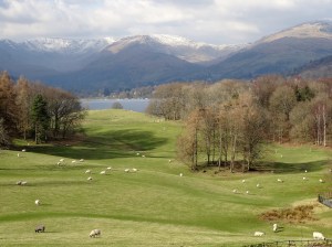 The view from Wray Castle, Windermere, Cumbria